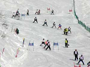 （財）神奈川県スキー連盟 上越4大会 回国体スキー競技会神奈川県代表選手